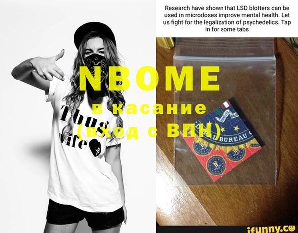 прущие грибы Дмитриев