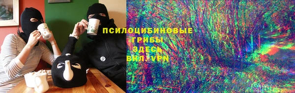 PSILOCYBIN Дмитров
