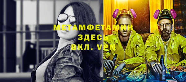 прущие грибы Дмитриев